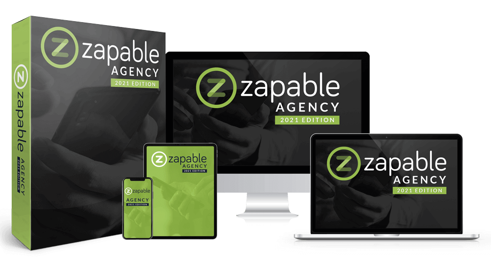 Zapable Agency 2024 Review